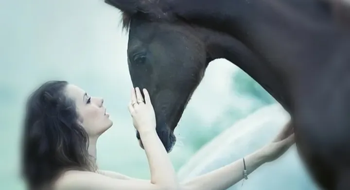 communication animale